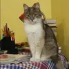 Отзыв от Олеся Маслова